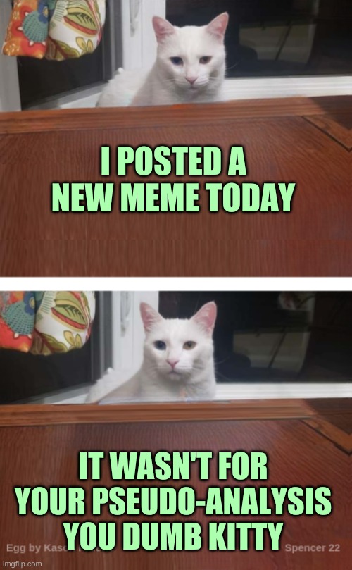 Memes are for fun boys and girls | I POSTED A NEW MEME TODAY; IT WASN'T FOR YOUR PSEUDO-ANALYSIS YOU DUMB KITTY | image tagged in egg the cat 2,meanwhile on imgflip,analysis,gtfo,dumb,stupid people | made w/ Imgflip meme maker