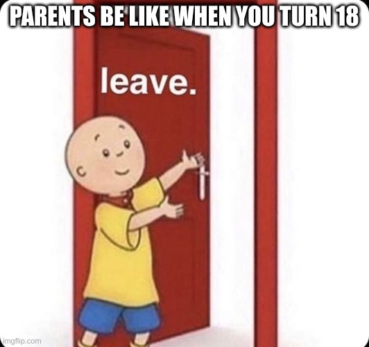 some people will get this | PARENTS BE LIKE WHEN YOU TURN 18 | image tagged in memes | made w/ Imgflip meme maker