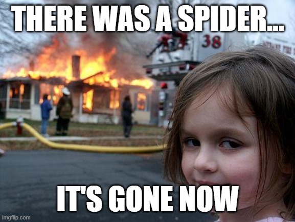 Disaster Girl Meme | THERE WAS A SPIDER... IT'S GONE NOW | image tagged in memes,disaster girl | made w/ Imgflip meme maker