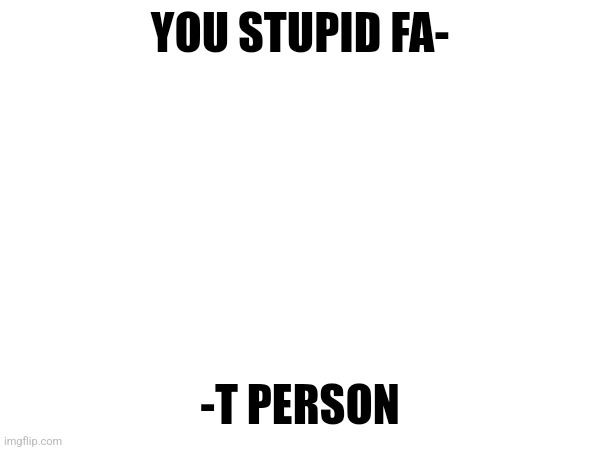 YOU STUPID FA-; -T PERSON | made w/ Imgflip meme maker