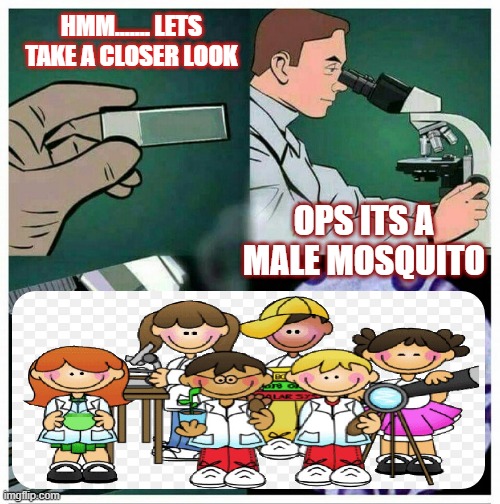 science | HMM....... LETS TAKE A CLOSER LOOK; OPS ITS A MALE MOSQUITO | image tagged in microscope 100x zoom | made w/ Imgflip meme maker