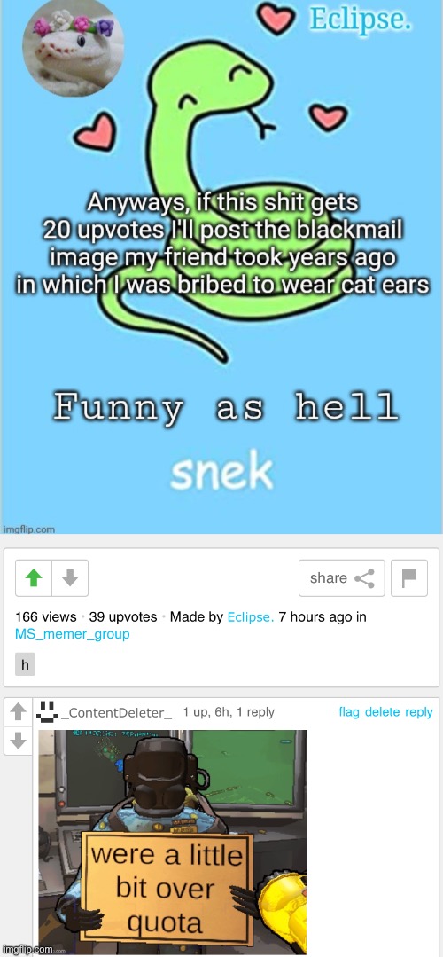 Slightly over the quota | made w/ Imgflip meme maker