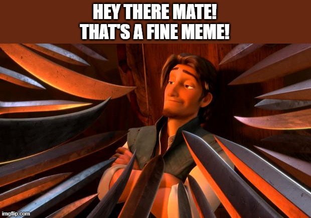 Flynn rider swords | HEY THERE MATE! THAT'S A FINE MEME! | image tagged in flynn rider swords | made w/ Imgflip meme maker