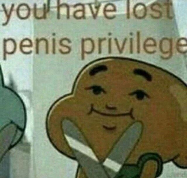 You have lost your penis privileges Blank Meme Template
