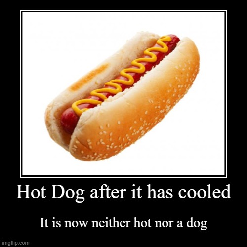 How much fun can it be then? | Hot Dog after it has cooled | It is now neither hot nor a dog | image tagged in funny,demotivationals,hot dog,memes,not a dog | made w/ Imgflip demotivational maker