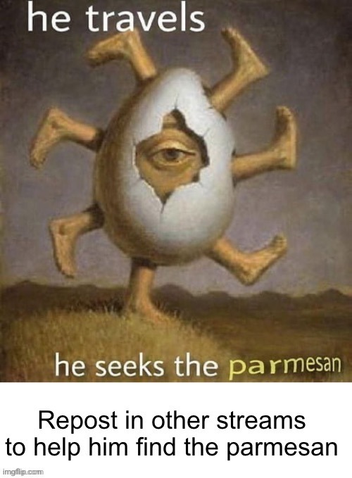 He seeks the Parmesan | image tagged in he seeks the parmesan | made w/ Imgflip meme maker