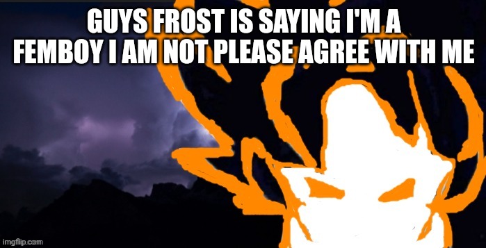 LowTeirGoob | GUYS FROST IS SAYING I'M A FEMBOY I AM NOT PLEASE AGREE WITH ME | image tagged in lowteirgoob | made w/ Imgflip meme maker