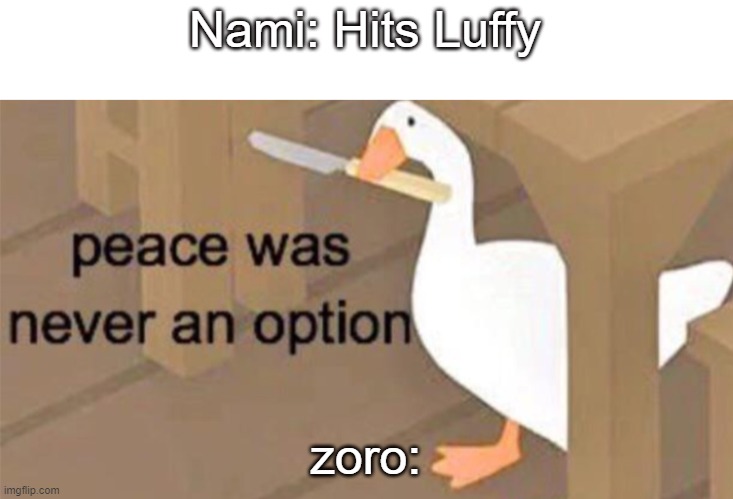 oof | Nami: Hits Luffy; zoro: | image tagged in untitled goose peace was never an option | made w/ Imgflip meme maker