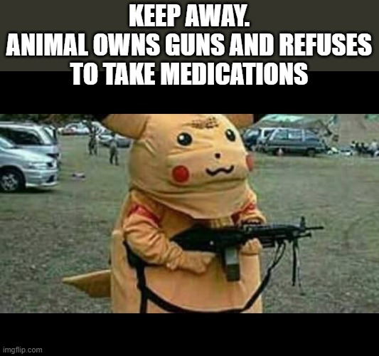 GO! RUN! | KEEP AWAY.
ANIMAL OWNS GUNS AND REFUSES TO TAKE MEDICATIONS | image tagged in pikachu | made w/ Imgflip meme maker