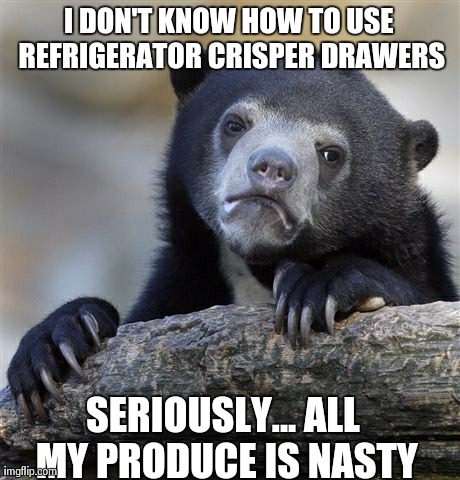 Confession Bear Meme | I DON'T KNOW HOW TO USE REFRIGERATOR CRISPER DRAWERS SERIOUSLY... ALL MY PRODUCE IS NASTY | image tagged in memes,confession bear,AdviceAnimals | made w/ Imgflip meme maker