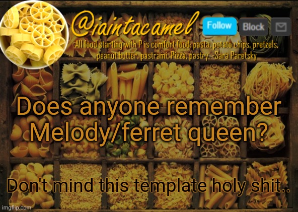 Literally nobody is awake. | Does anyone remember Melody/ferret queen? Don't mind this template holy shit.. | image tagged in iaintacamel | made w/ Imgflip meme maker