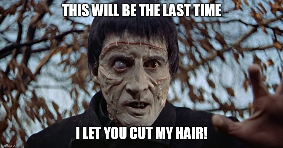 The bad barber! | THIS WILL BE THE LAST TIME; I LET YOU CUT MY HAIR! | image tagged in bad hair day | made w/ Imgflip meme maker