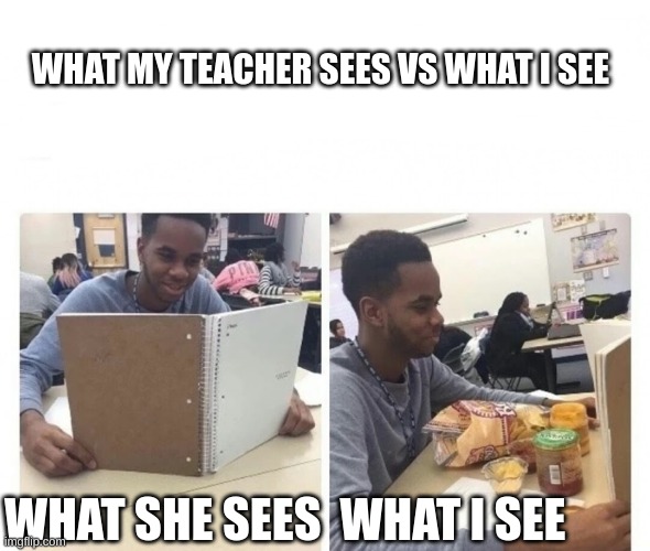 When your teacher thinks your studying | WHAT MY TEACHER SEES VS WHAT I SEE; WHAT SHE SEES  WHAT I SEE | image tagged in when your teacher thinks your studying | made w/ Imgflip meme maker