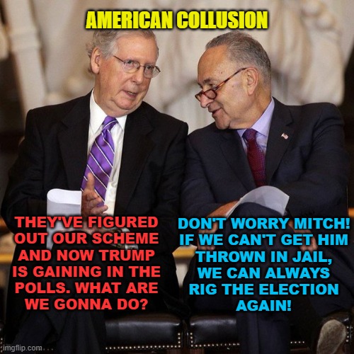 American Collusion | AMERICAN COLLUSION; THEY'VE FIGURED
OUT OUR SCHEME
AND NOW TRUMP
IS GAINING IN THE
POLLS. WHAT ARE
WE GONNA DO? DON'T WORRY MITCH!
IF WE CAN'T GET HIM
THROWN IN JAIL,
WE CAN ALWAYS
RIG THE ELECTION
AGAIN! | image tagged in mcconnell,schumer,collusion,uniparty | made w/ Imgflip meme maker