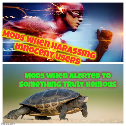 I'm just joshing you. Keep on keepin' on | Mods when harassing
 innocent users; Mods when alerted to something truly heinous | image tagged in fast vs slow,memes,mods,harassment,heinous | made w/ Imgflip meme maker