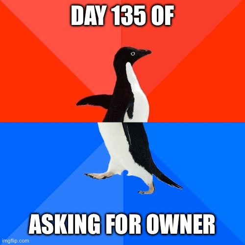 Socially Awesome Awkward Penguin | DAY 135 OF; ASKING FOR OWNER | image tagged in memes,socially awesome awkward penguin | made w/ Imgflip meme maker