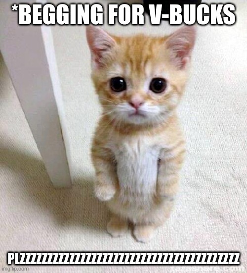 Cute Cat Meme | *BEGGING FOR V-BUCKS; PLZZZZZZZZZZZZZZZZZZZZZZZZZZZZZZZZZZZZZZZZ | image tagged in memes,cute cat | made w/ Imgflip meme maker