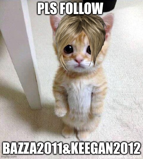 follow | PLS FOLLOW; BAZZA2011&KEEGAN2012 | image tagged in memes,cute cat | made w/ Imgflip meme maker