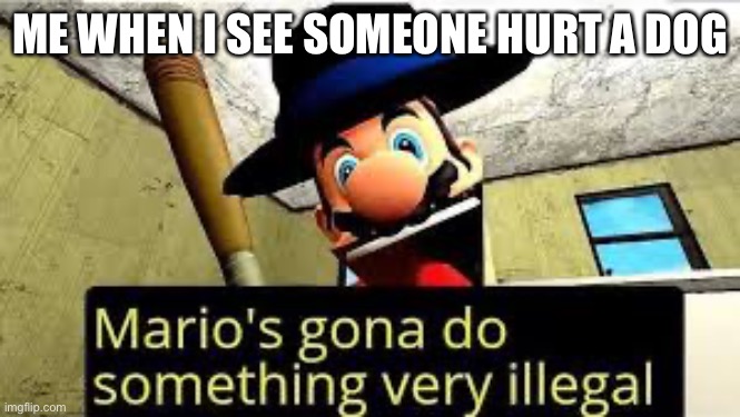 Mario | ME WHEN I SEE SOMEONE HURT A DOG | image tagged in mario | made w/ Imgflip meme maker