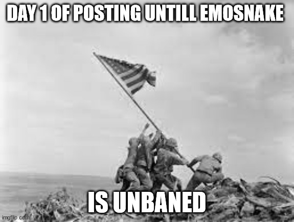 join me and bring justice for emosnake | DAY 1 OF POSTING UNTILL EMOSNAKE; IS UNBANED | image tagged in raising the flag | made w/ Imgflip meme maker