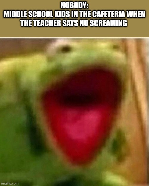 AHHHHHHHHHHHHH | NOBODY:
MIDDLE SCHOOL KIDS IN THE CAFETERIA WHEN THE TEACHER SAYS NO SCREAMING | image tagged in oh wow are you actually reading these tags,stop reading the tags,why are you reading the tags | made w/ Imgflip meme maker