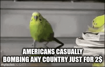 AMERICAAAAAAAAAAA | AMERICANS CASUALLY BOMBING ANY COUNTRY JUST FOR 2$ | image tagged in gifs,funny,memes,america | made w/ Imgflip video-to-gif maker