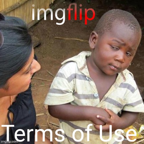 I jack off to Skibidi toilet /srs | Terms of Use | image tagged in memes,third world skeptical kid | made w/ Imgflip meme maker