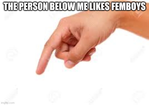 the person below | THE PERSON BELOW ME LIKES FEMBOYS | image tagged in the person below | made w/ Imgflip meme maker