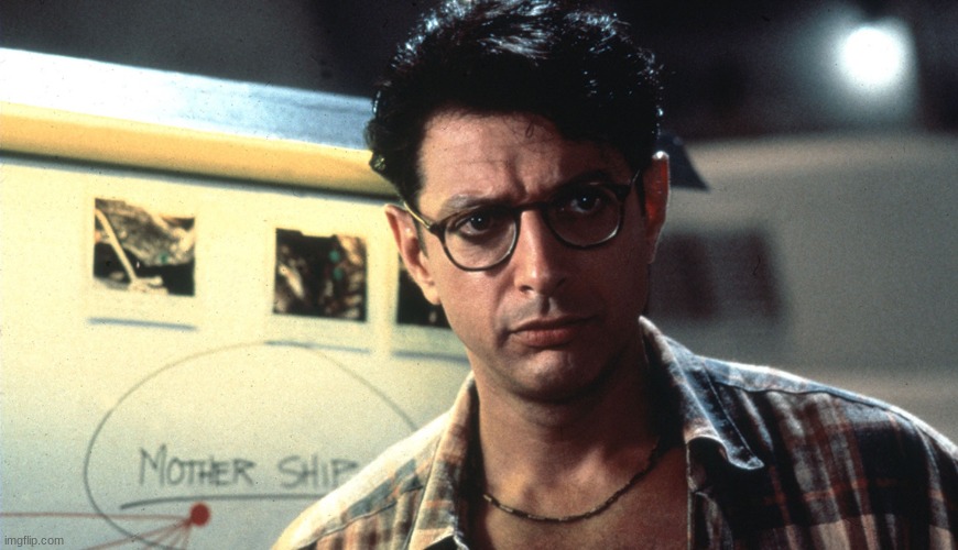 jeff goldblum is very attractive | image tagged in jeff goldblum,david independence day | made w/ Imgflip meme maker