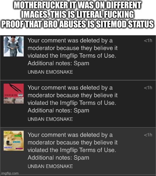 Avenge meeeeeeee (and yes I’m sitewide comment banned) | MOTHERFUCKER IT WAS ON DIFFERENT IMAGES. THIS IS LITERAL FUCKING PROOF THAT BRO ABUSES IS SITEMOD STATUS | made w/ Imgflip meme maker