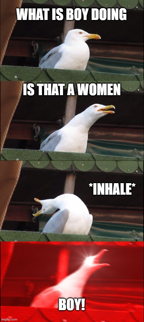 boy! | WHAT IS BOY DOING; IS THAT A WOMEN; *INHALE*; BOY! | image tagged in memes,inhaling seagull | made w/ Imgflip meme maker