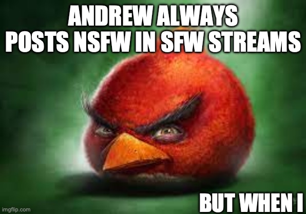 Realistic Red Angry Birds | ANDREW ALWAYS POSTS NSFW IN SFW STREAMS; BUT WHEN I | image tagged in realistic red angry birds | made w/ Imgflip meme maker