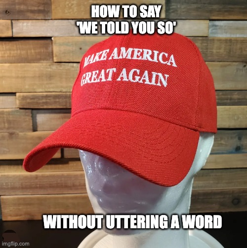 HOW TO SAY
'WE TOLD YOU SO'; WITHOUT UTTERING A WORD | image tagged in maga,dumbass dems | made w/ Imgflip meme maker
