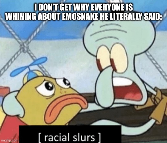 racial slurs | I DON’T GET WHY EVERYONE IS WHINING ABOUT EMOSNAKE HE LITERALLY SAID: | image tagged in racial slurs | made w/ Imgflip meme maker