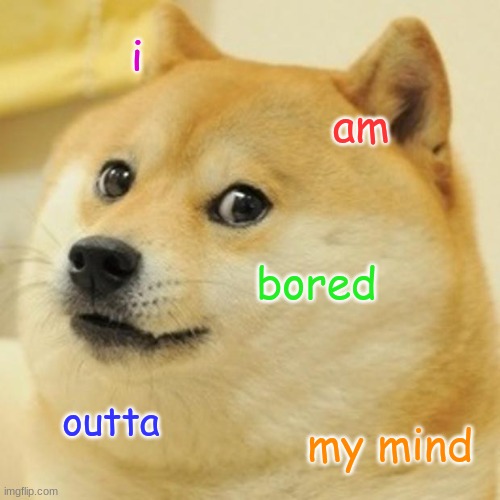 Doge | i; am; bored; outta; my mind | image tagged in memes,doge | made w/ Imgflip meme maker