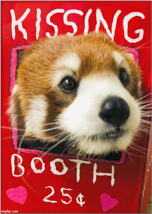 Worth Every Penny ! | image tagged in dogs,puppy,kissing,booth | made w/ Imgflip meme maker