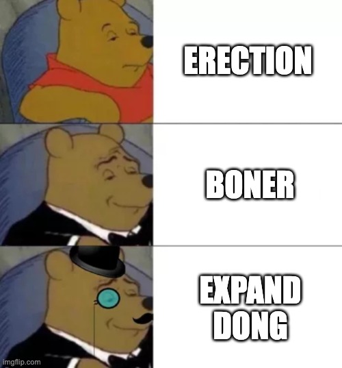 Fancy pooh | ERECTION; BONER; EXPAND DONG | image tagged in fancy pooh | made w/ Imgflip meme maker