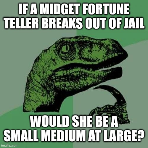 Philosoraptor | IF A MIDGET FORTUNE TELLER BREAKS OUT OF JAIL; WOULD SHE BE A SMALL MEDIUM AT LARGE? | image tagged in memes,philosoraptor | made w/ Imgflip meme maker
