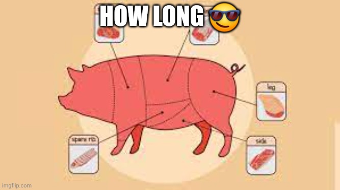 porky | HOW LONG 😎 | image tagged in porky | made w/ Imgflip meme maker