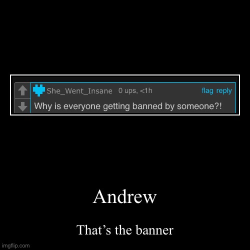 Andrew | That’s the banner | image tagged in funny,demotivationals | made w/ Imgflip demotivational maker