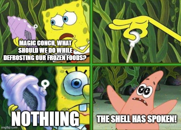 Magic Conch Says "Nothing" | MAGIC CONCH, WHAT SHOULD WE DO WHILE DEFROSTING OUR FROZEN FOODS? NOTHIING; THE SHELL HAS SPOKEN! | image tagged in magic conch,food,cooking,spongebob squarepants | made w/ Imgflip meme maker