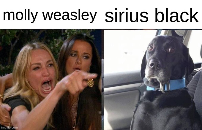 Woman Yelling At Cat Meme | molly weasley sirius black | image tagged in memes,woman yelling at cat | made w/ Imgflip meme maker