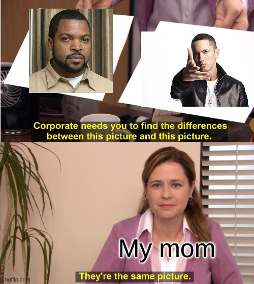 Who is worse? Eminem or Ice Cube?! | My mom | image tagged in memes,they're the same picture | made w/ Imgflip meme maker