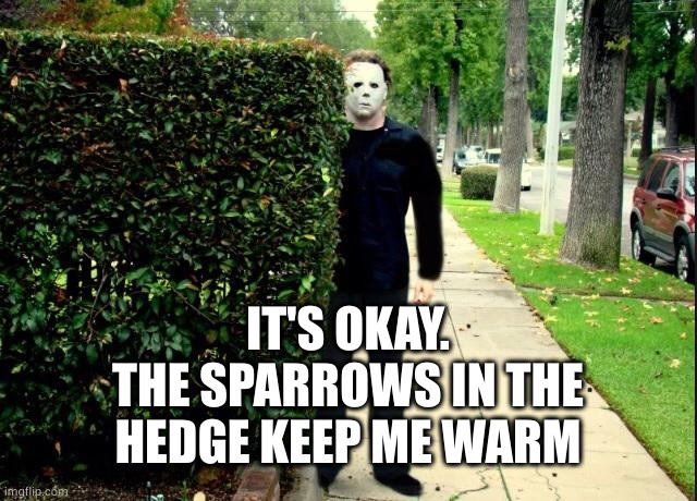 Michael Myers Bush Stalking | IT'S OKAY.
THE SPARROWS IN THE
HEDGE KEEP ME WARM | image tagged in michael myers bush stalking | made w/ Imgflip meme maker