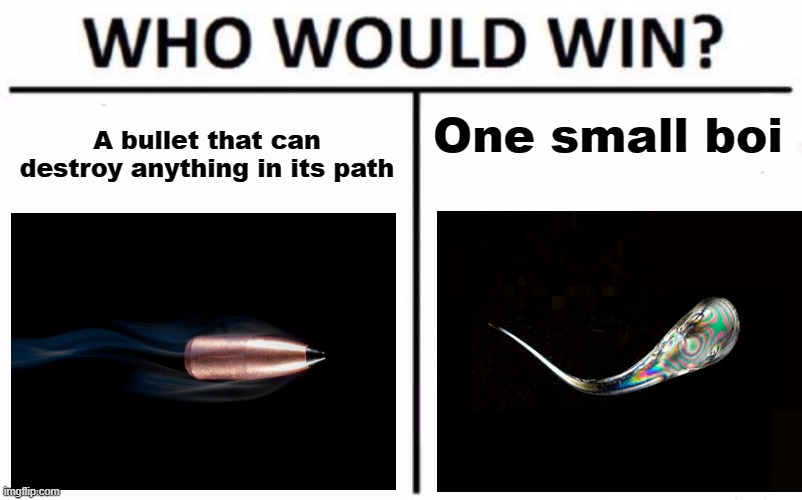 small indestructible boi | A bullet that can destroy anything in its path; One small boi | image tagged in memes,who would win | made w/ Imgflip meme maker