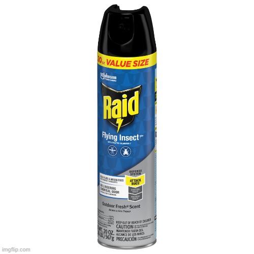 Raid Flying Insect Spray | image tagged in raid flying insect spray | made w/ Imgflip meme maker