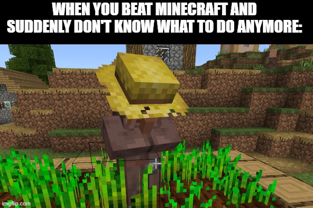 Now what? | WHEN YOU BEAT MINECRAFT AND SUDDENLY DON'T KNOW WHAT TO DO ANYMORE: | image tagged in minecraft,minecraft villagers | made w/ Imgflip meme maker