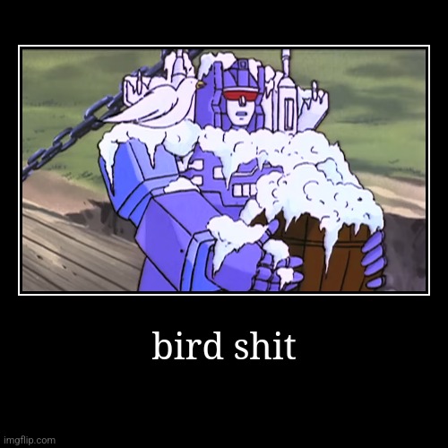 bird shit | | image tagged in funny,demotivationals | made w/ Imgflip demotivational maker