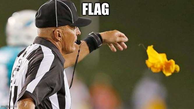 NFL referee | FLAG | image tagged in nfl referee | made w/ Imgflip meme maker