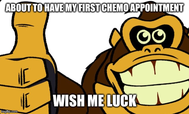 The balding begins today | ABOUT TO HAVE MY FIRST CHEMO APPOINTMENT; WISH ME LUCK | image tagged in donkey kong okay | made w/ Imgflip meme maker